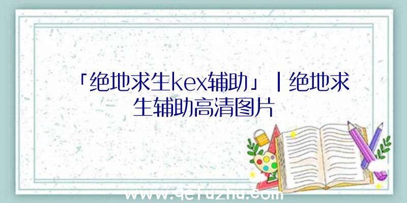 「绝地求生kex辅助」|绝地求生辅助高清图片